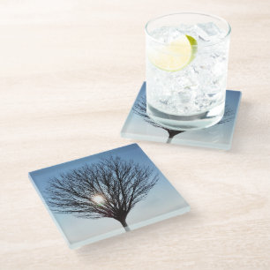 winter sun glass coaster