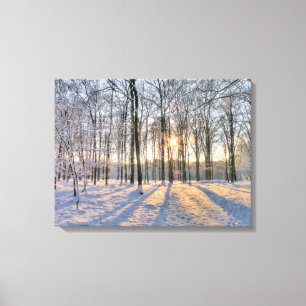 Winter sun in snowy forest canvas print