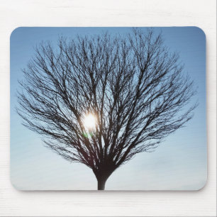 winter sun mouse mat