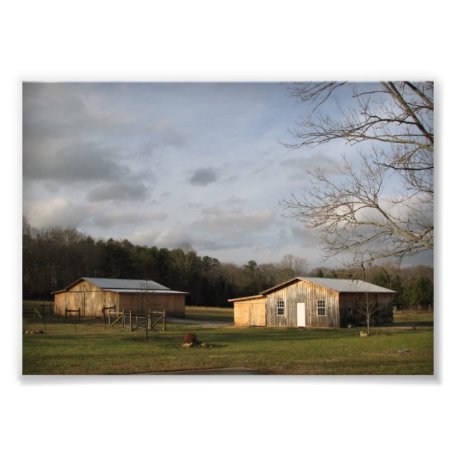 winter sun photo print (Front)