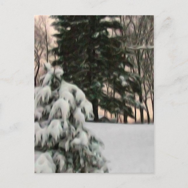 Winter Sun Postcard (Front)