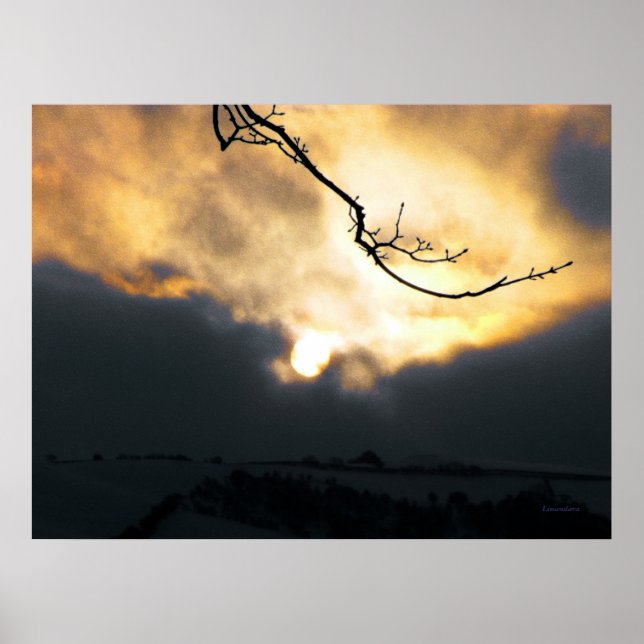 Winter Sun Poster (Front)