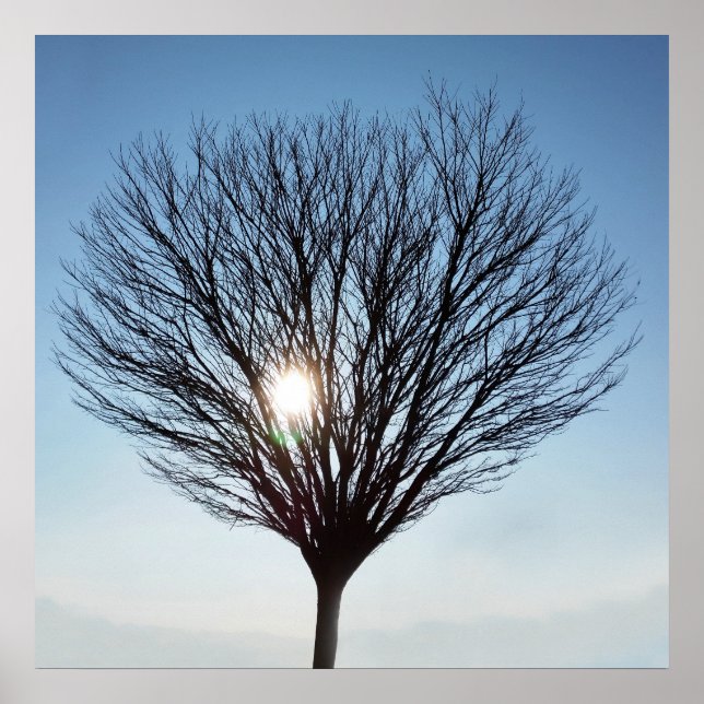 winter sun poster (Front)