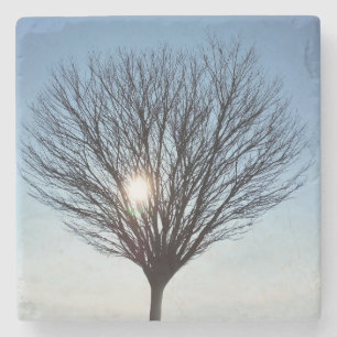 winter sun stone coaster