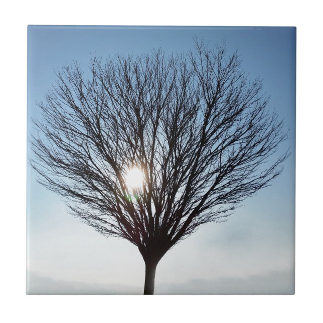 winter sun tile (Front)