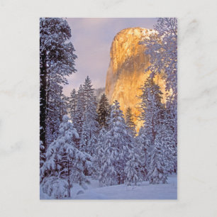 Winter Sunlight on El Capitan at Yosemite Postcard