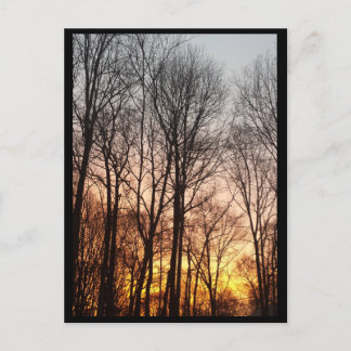 Winter Sunrise-Christmas Morning Holiday Postcard