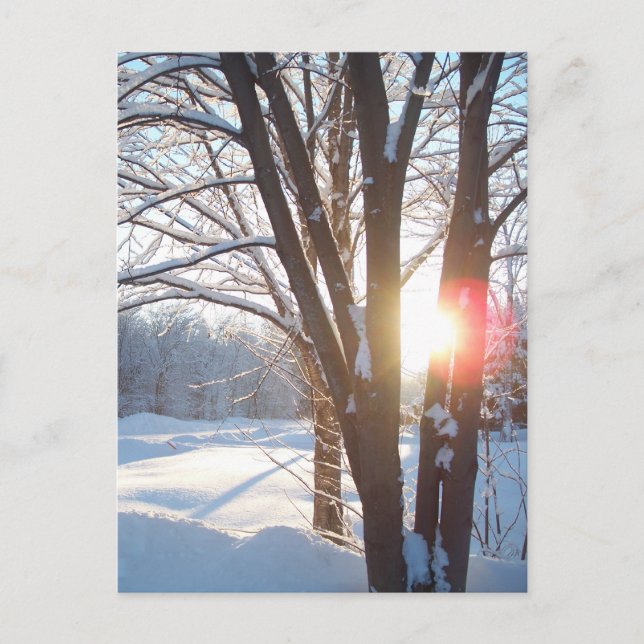 WINTER SUNRISE Customisable Design Postcard (Front)