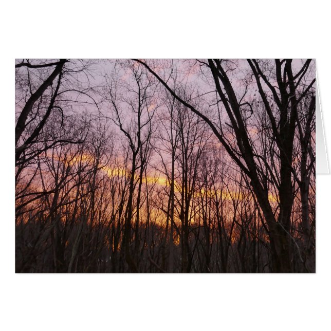 Winter Sunrise II (Front Horizontal)