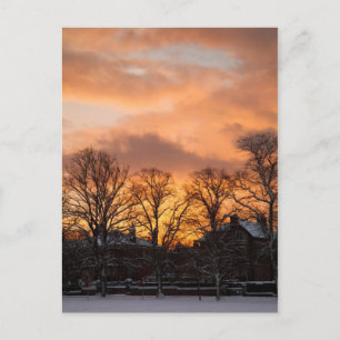 Winter sunrise postcard