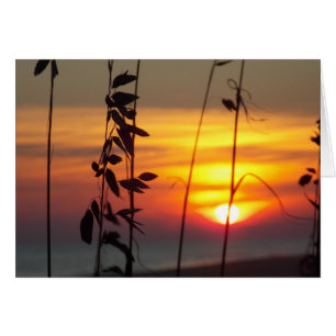 Winter Sunset