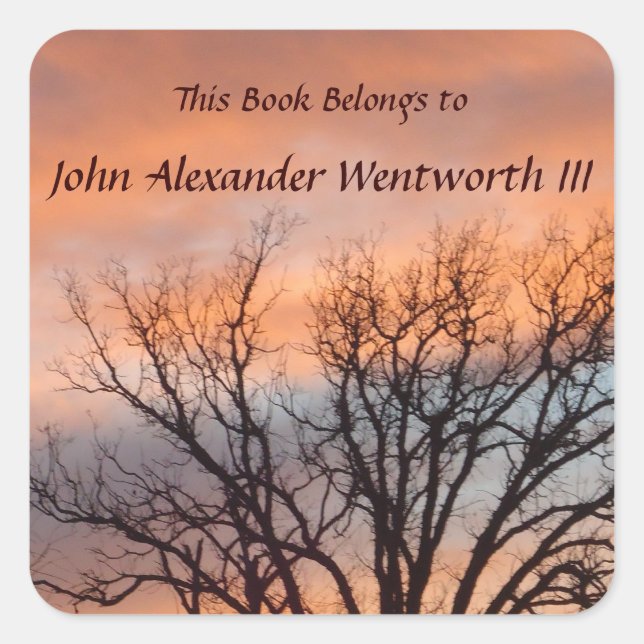 Winter Sunset 1 Custom Bookplate Square Sticker (Front)