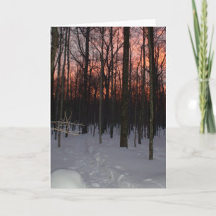Winter Sunset Greeting Card