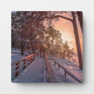 Winter sunset in pine forest near sea plaque