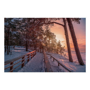 Winter sunset in pine forest near sea poster