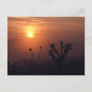 Winter sunset, Norfolk, England - Postcard
