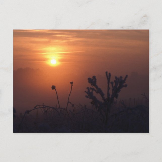 Winter sunset, Norfolk, England - Postcard (Front)