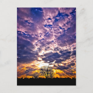 Winter Sunset Postcard