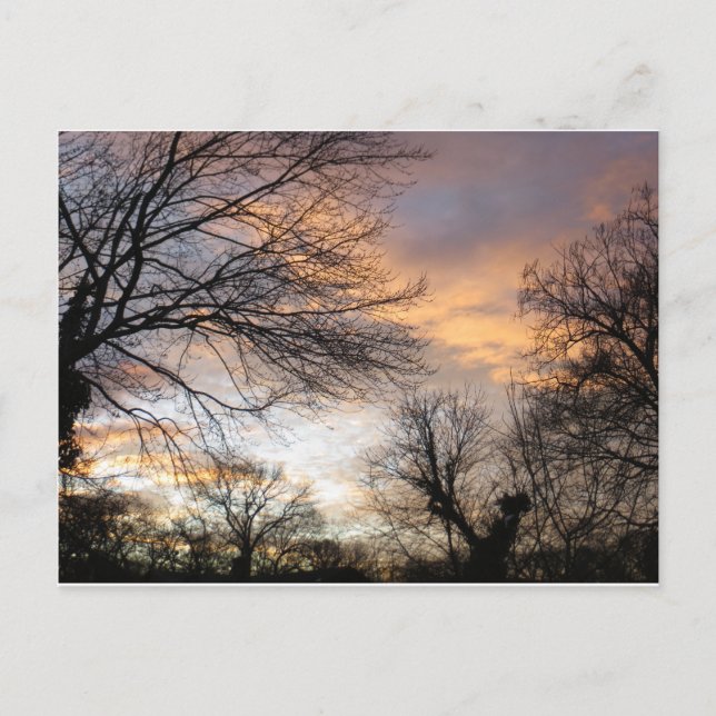 Winter Sunset Postcard (Front)
