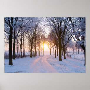 Winter Sunset Poster