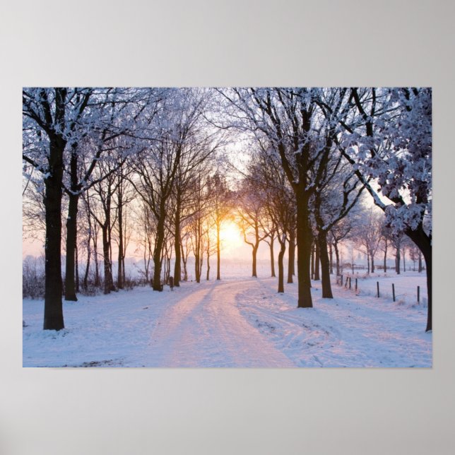 Winter Sunset Poster (Front)