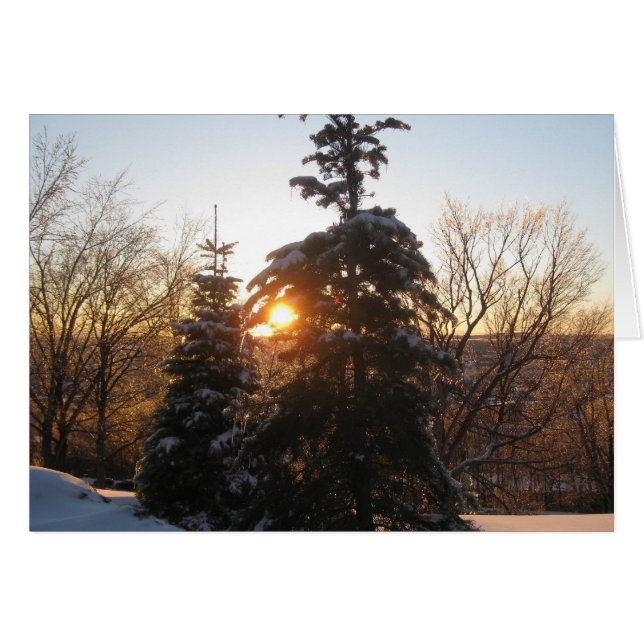 Winter sunset with evergreens (Front Horizontal)