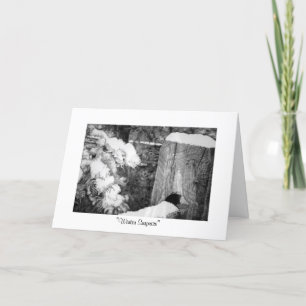 "Winter Surprise" Holiday Card