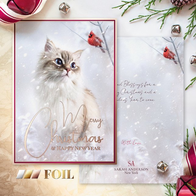 Winter Tales, Kitten & Red Cardinal Bird in Snow - Foil Holiday Card (Creator Uploaded)