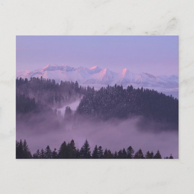 Winter Tatras view from Pieniny Postcard (Front)