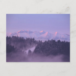 Winter Tatras view Postcard