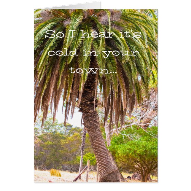 Winter Tease (Front)