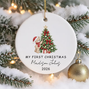 Winter Teddy Bear Baby's First Christmas Ceramic Tree Decoration