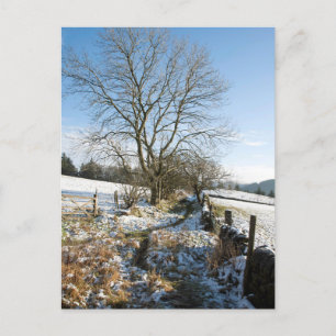 Winter The Macclesfield Forest Card