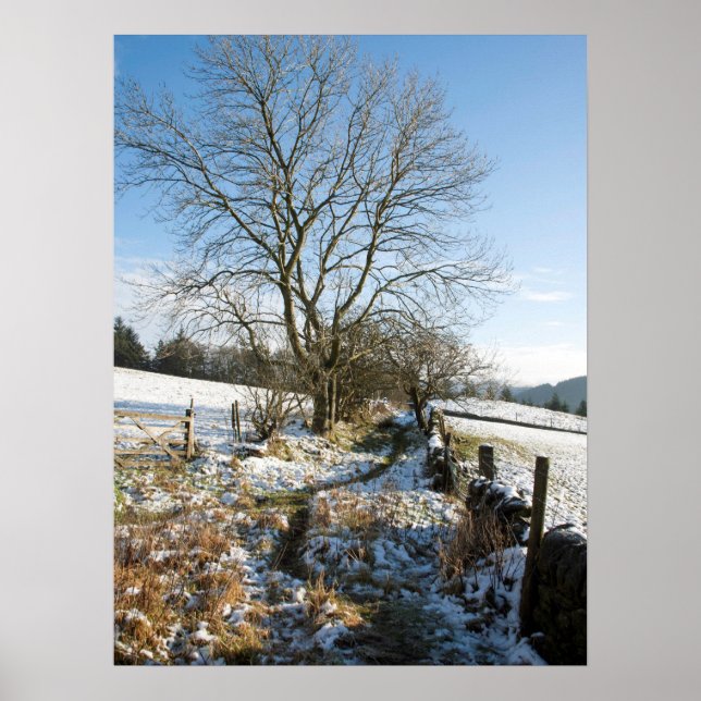 Winter The Macclesfield Forest Card Poster (Front)
