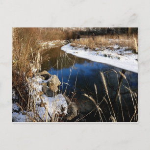 winter @ the stream postcard