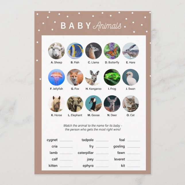 Winter theme Baby Shower Game -Baby Animals Programme (Front)
