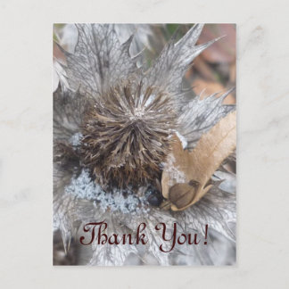 Winter Thistle- Thank Yuu Card