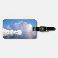 Winter Through The Icebergs