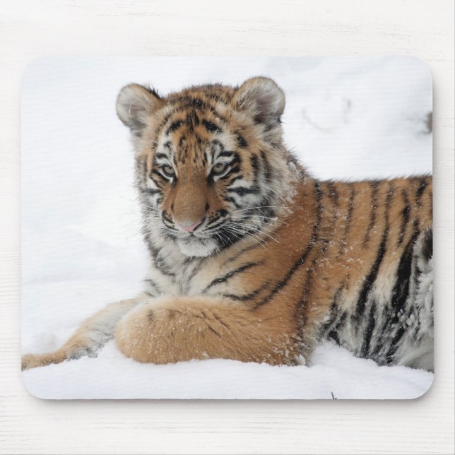 Winter Tiger Mouse Mat (Front)