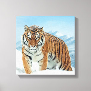 Winter Tiger Snow Mountains Nature Photo Canvas Print