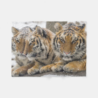 Winter Tigers Cuddle in Snow Fleece Blanket