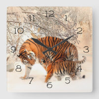 Winter Tigers