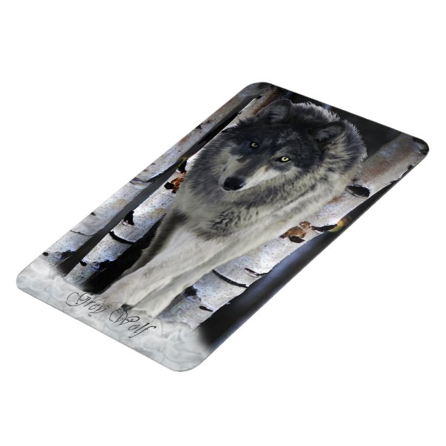 Winter Timber Wolf Wildlife Art Premium Magnet (Left Side)