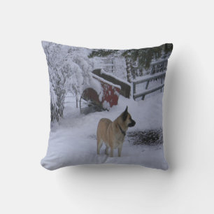 Winter Time..... Cushion