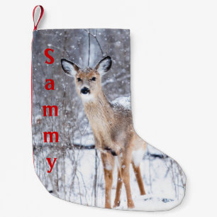 Winter Time Deer Stocking