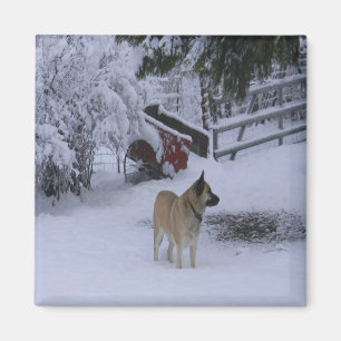 Winter Time..... Magnet