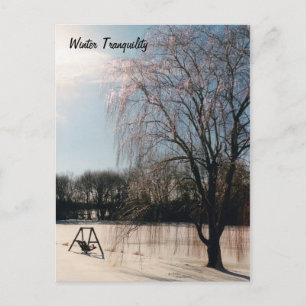 Winter Tranquillity Postcard