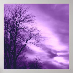 Winter Tree and Sky in Purple Poster