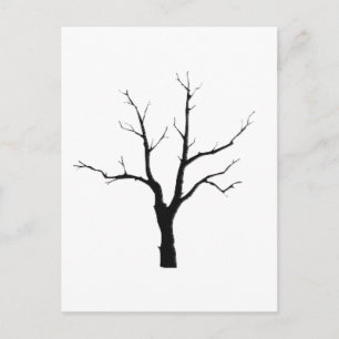Winter Tree Black and White Set Postcard