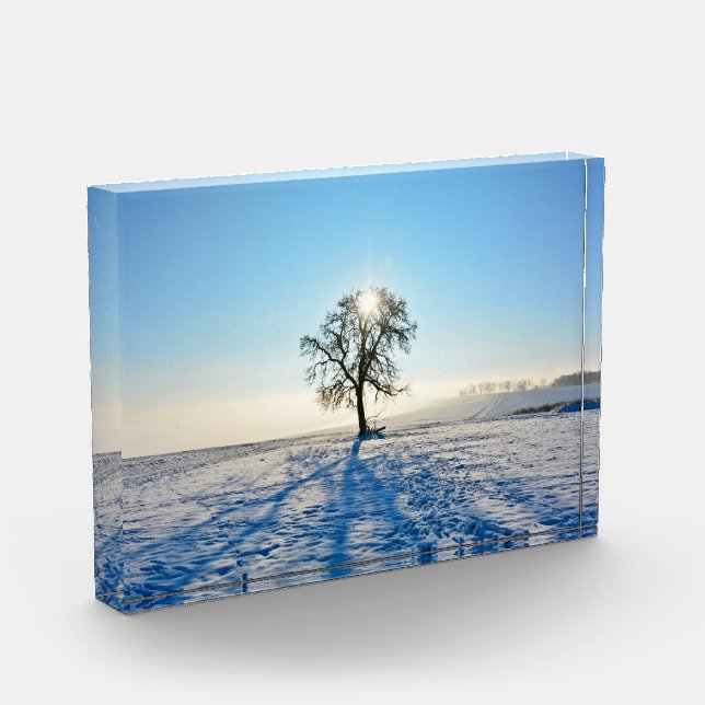 Winter Tree by sunrise    -     - Photo Block (Left)